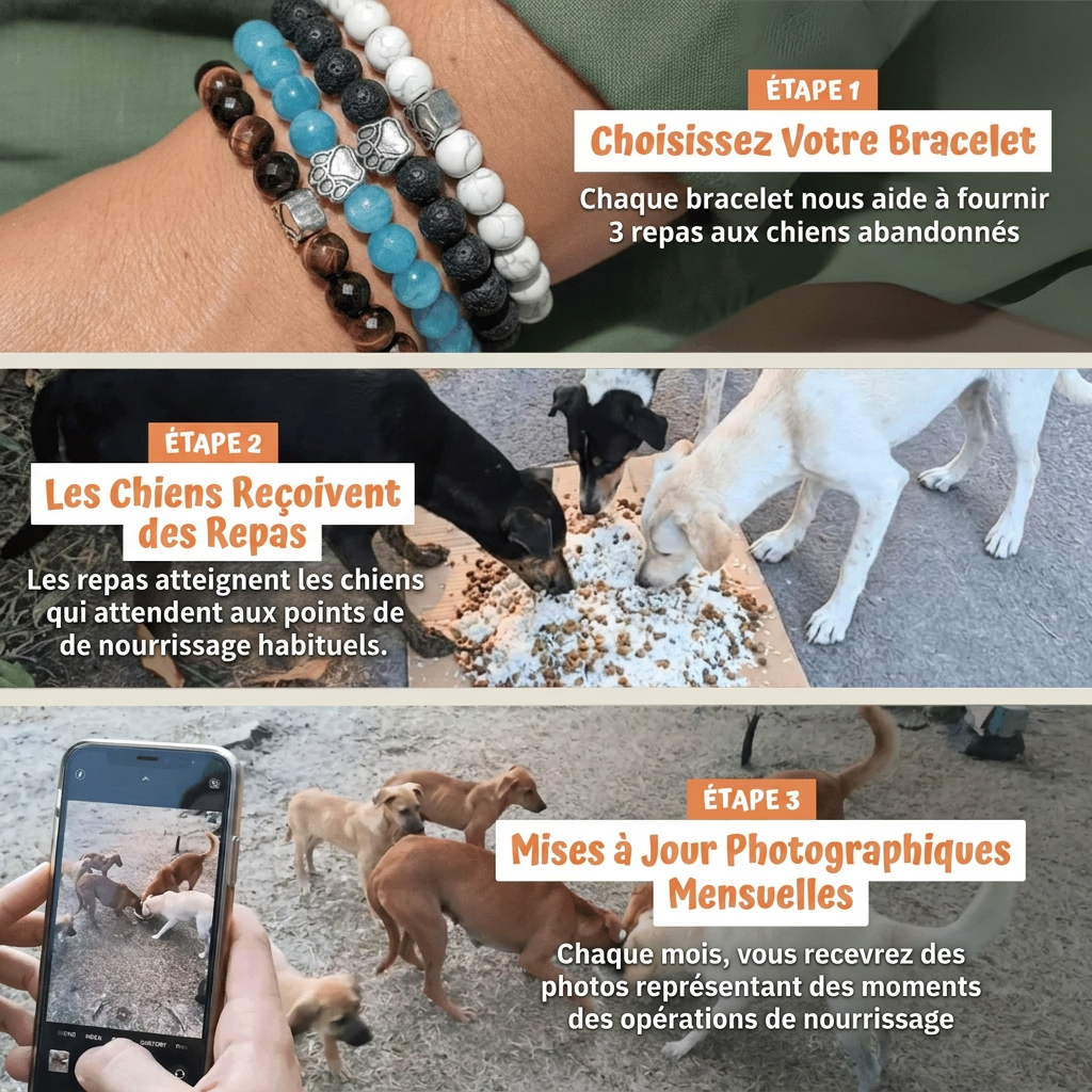 Bracelet Sans Collier - Tigre
