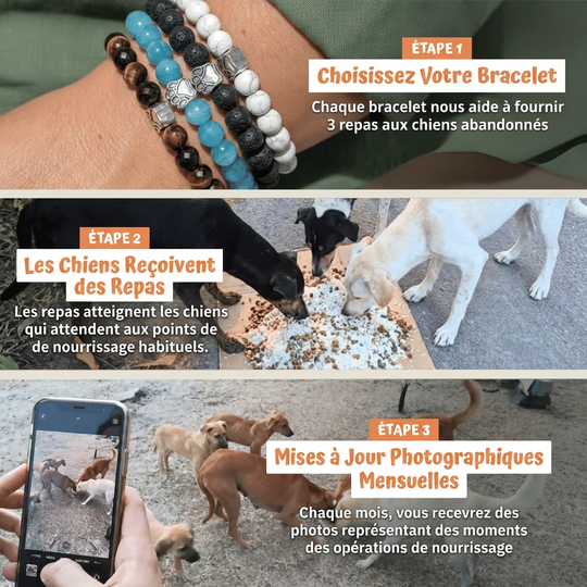 Bracelet Sans Collier - Tigre